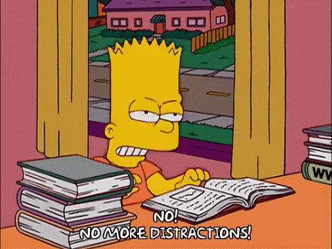 focus bartsimpson